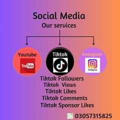 Instagram,Tiktok,facebook,youtube