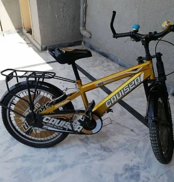 cauiser bicycle 2