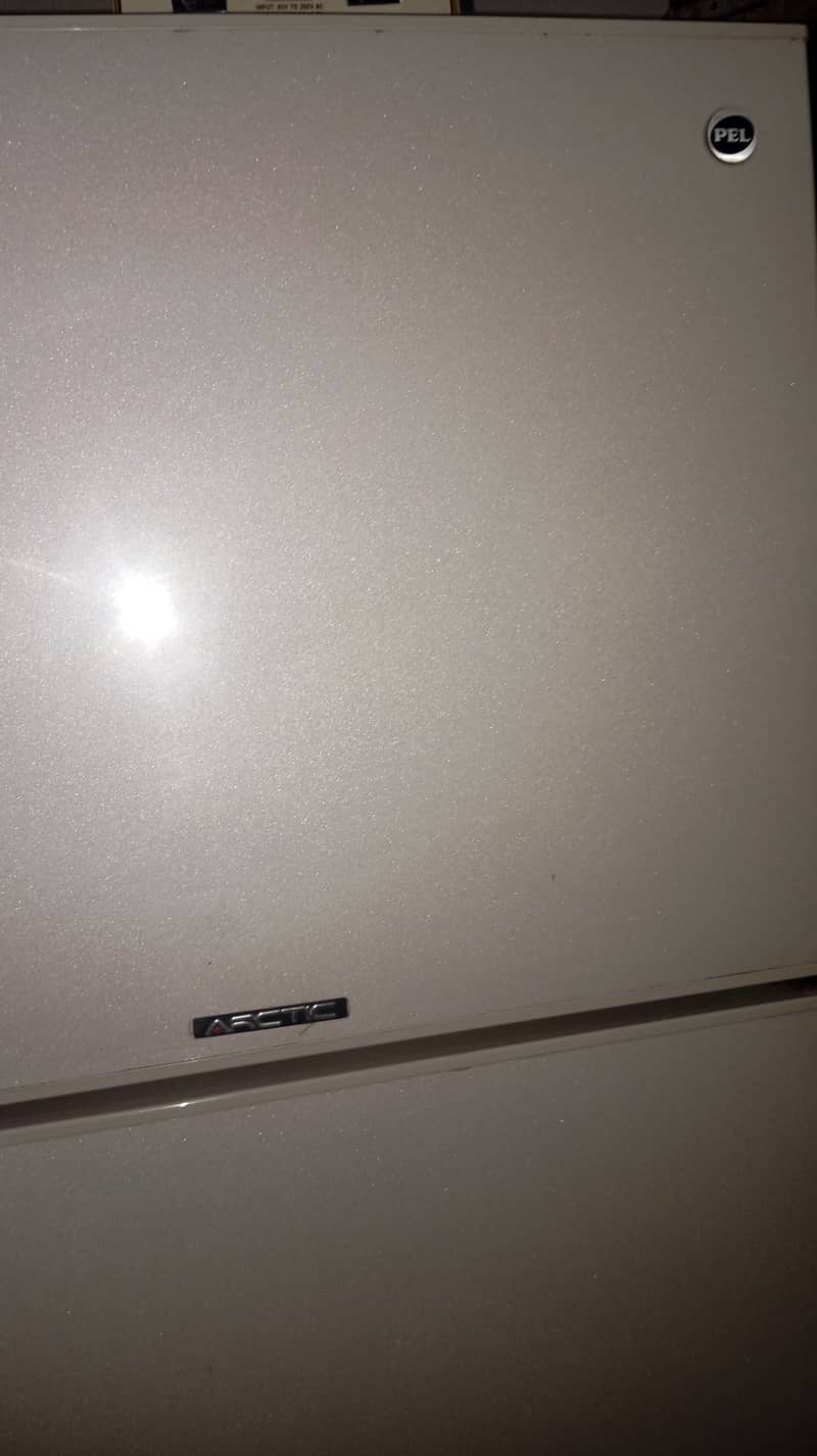 PEL Refrigerator 5