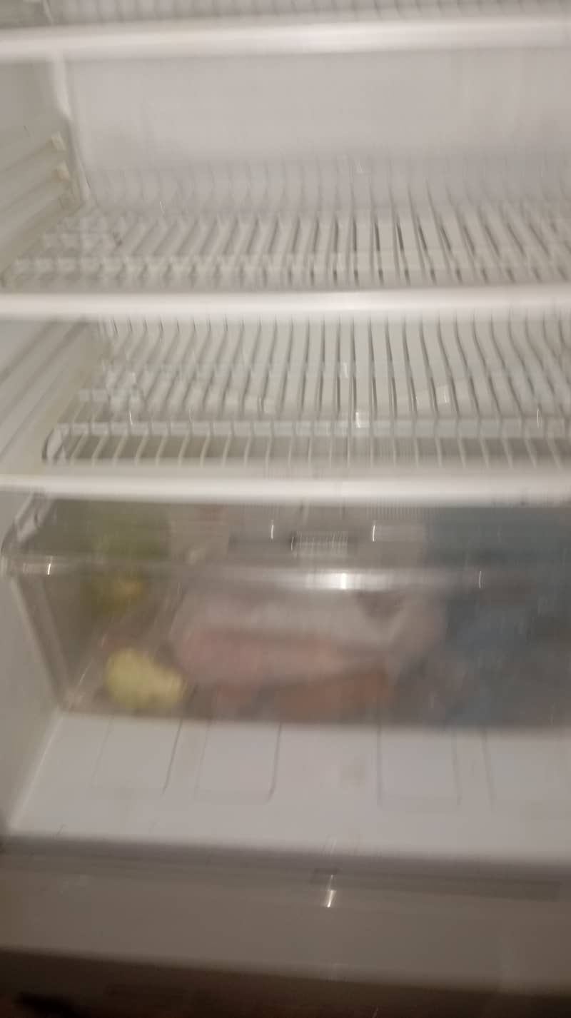 PEL Refrigerator 9
