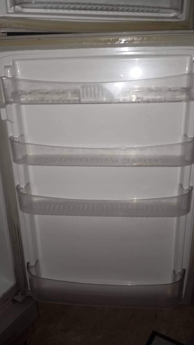 PEL Refrigerator 10