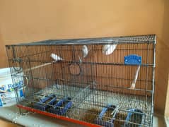 Lovebirds Cage