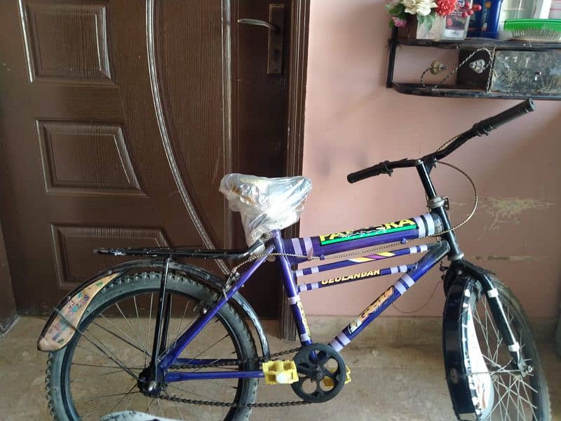 bicycle 1