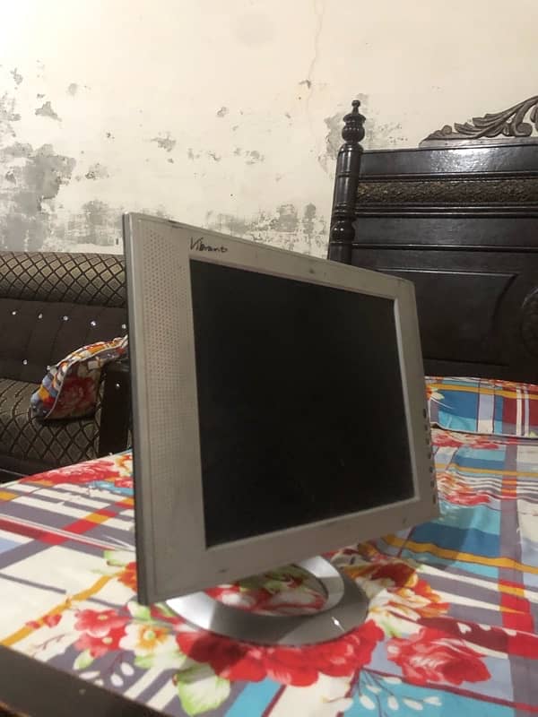 Vibrant LCD 1
