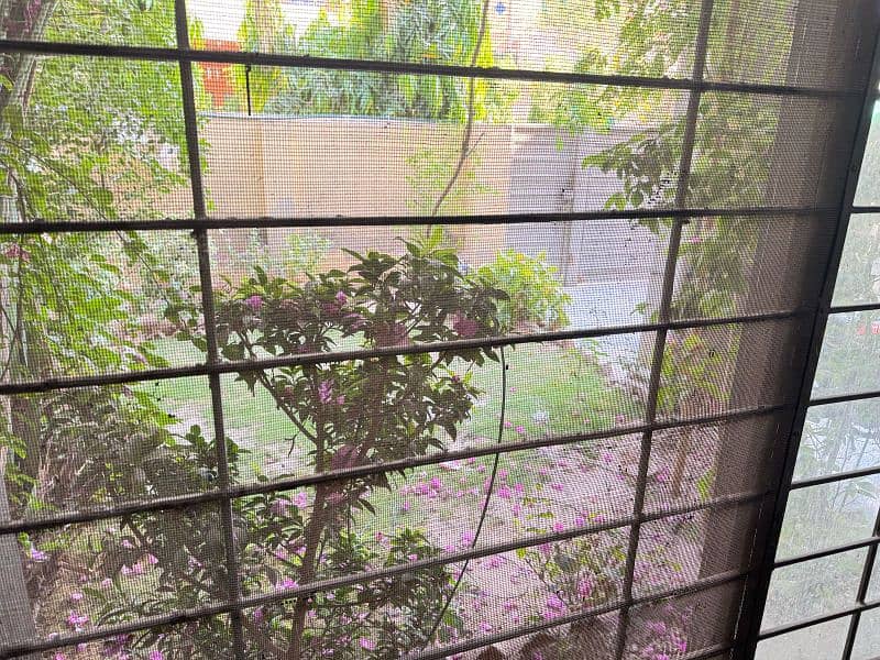 10 Marla house Ground floor for Rent 8