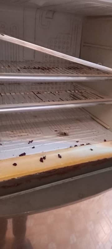dawlance fridge for sale 4