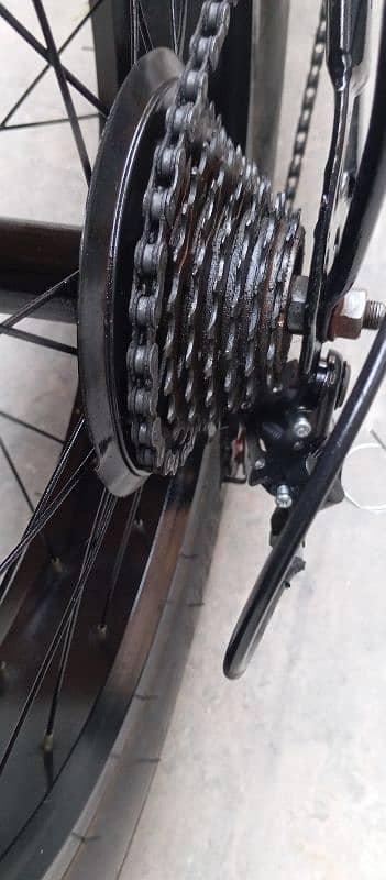 fat bike cycle 2
