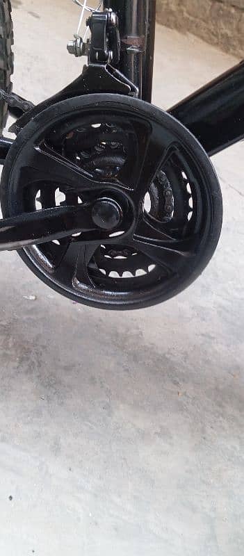 fat bike cycle 3