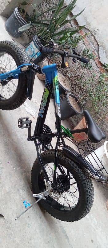 fat bike cycle 9