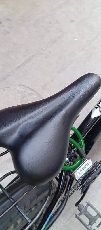 fat bike cycle 10