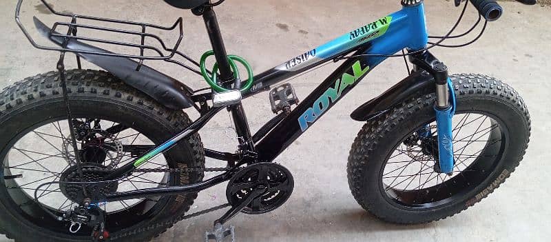 fat bike cycle 11