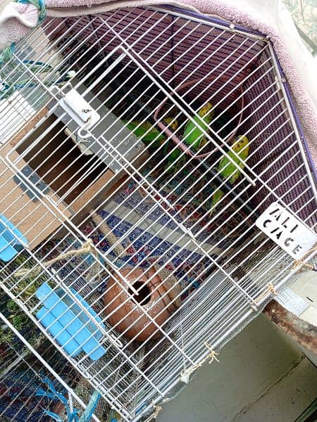 7  parrots and cage 0