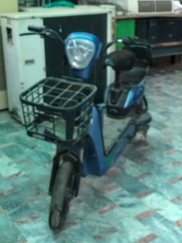 Electric Flipper 1