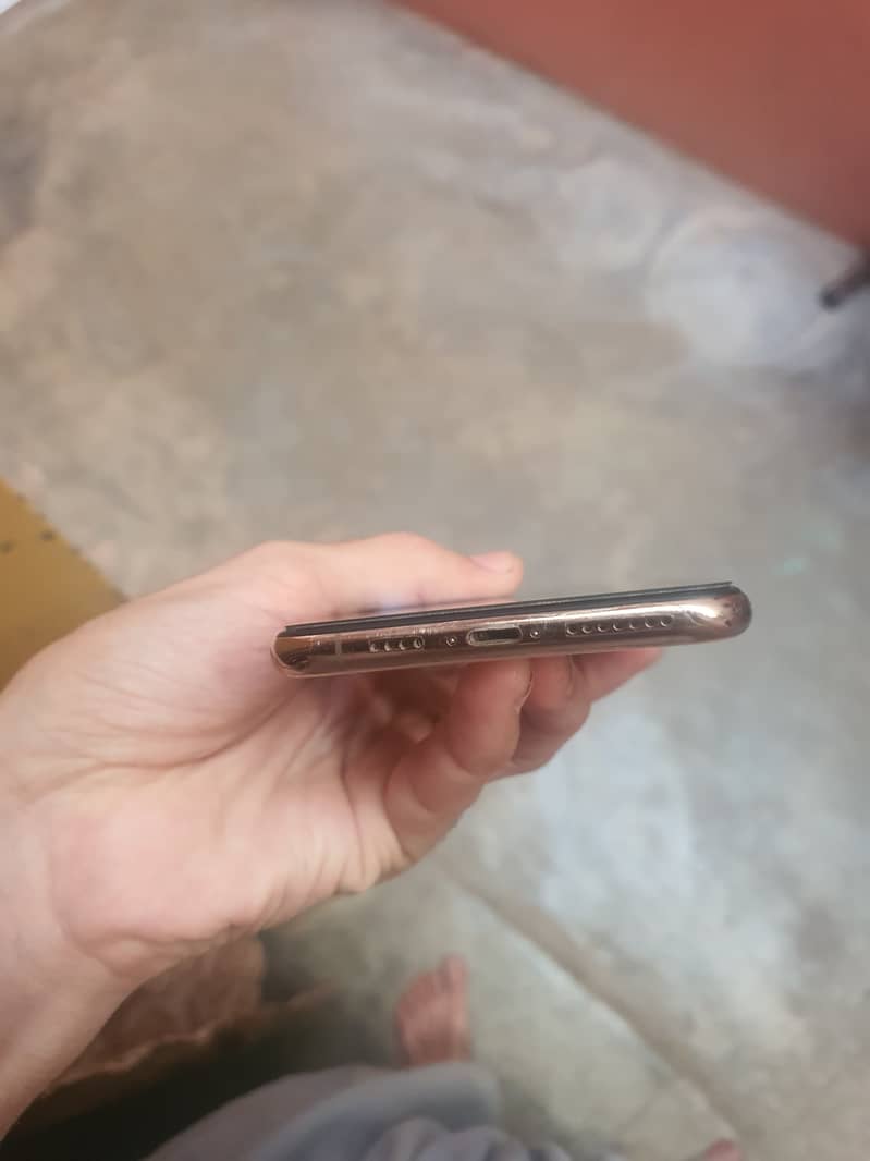 Apple iPhone XS Max 1