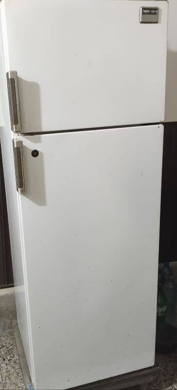 Large Fridge- Italy Brand for sale 0