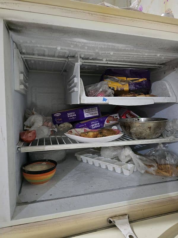 PEL double door refrigerator 2