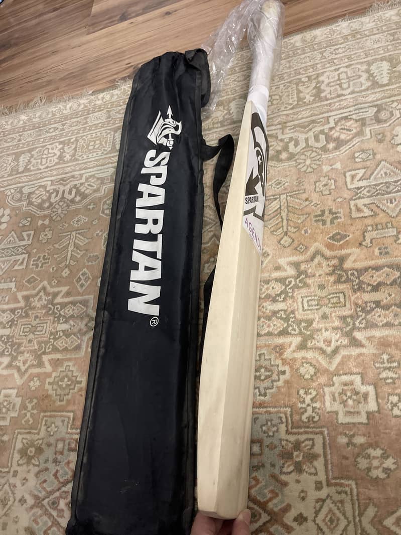 Spartan English willow hard ball bat 2