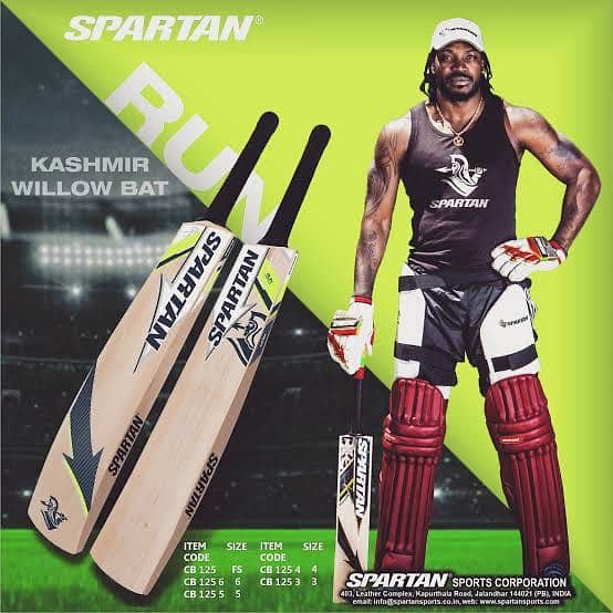 Spartan English willow hard ball bat 5