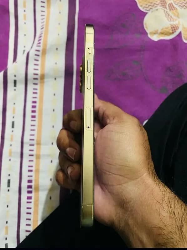 iphone 12 pro max pta approve 128gb 3