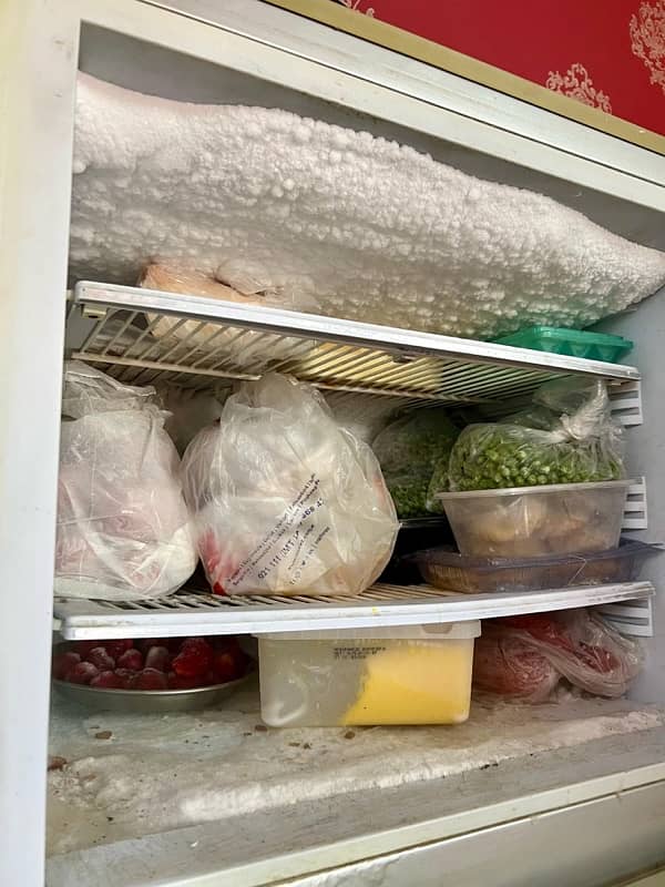 Pel Refrigerator (Crystal Classic Series) 5
