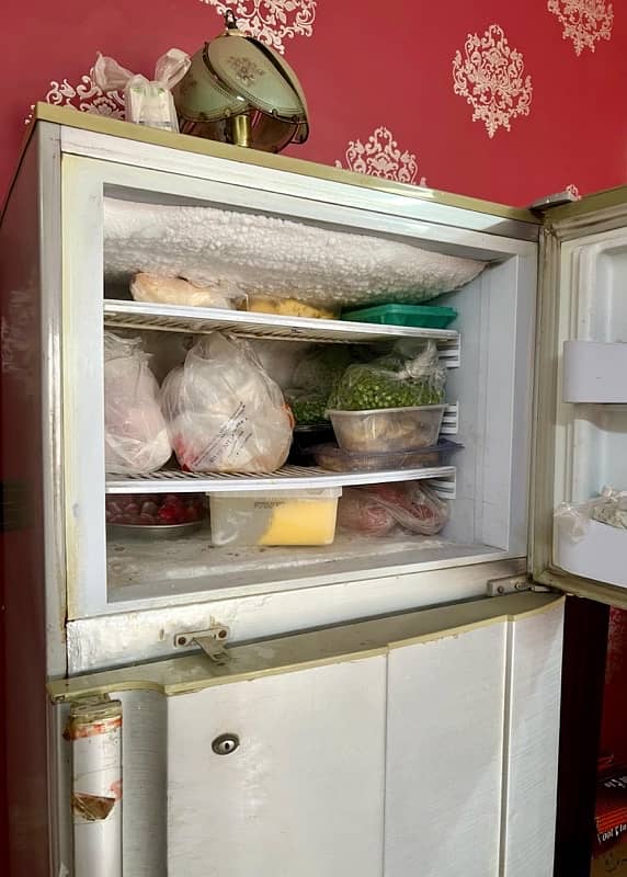 Pel Refrigerator (Crystal Classic Series) 6