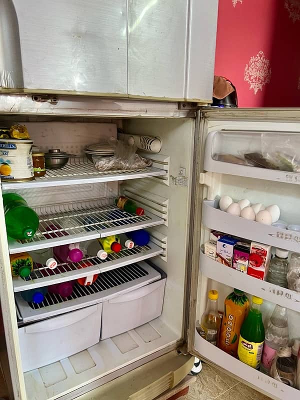 Pel Refrigerator (Crystal Classic Series) 8