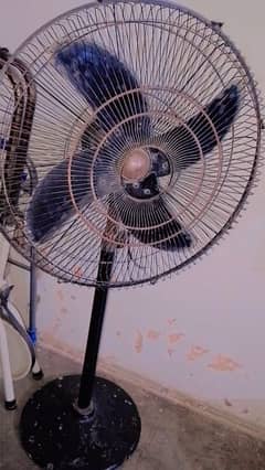 Stan fan all ok