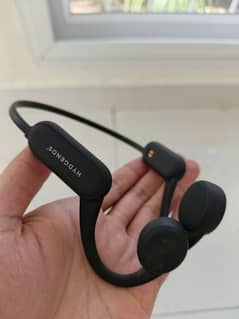 HYDGENX18