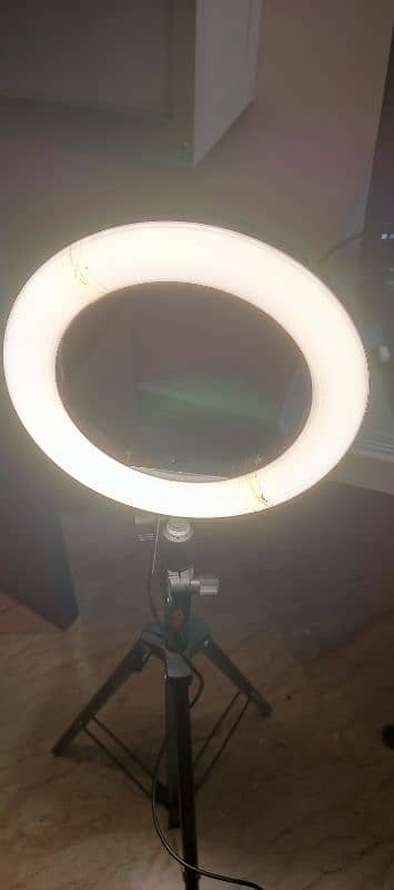 Ring Light and Mobile Tripod Stand 0
