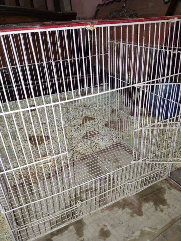 Bird cage in good condition 0