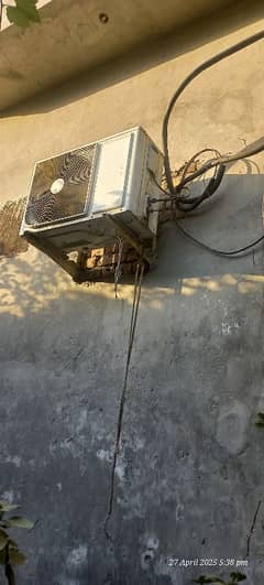 singer