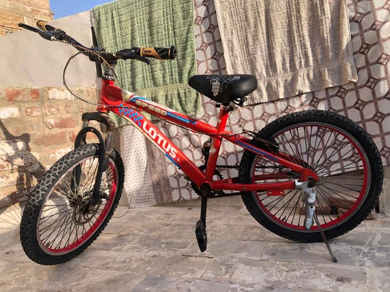 Mountain bicycle 0