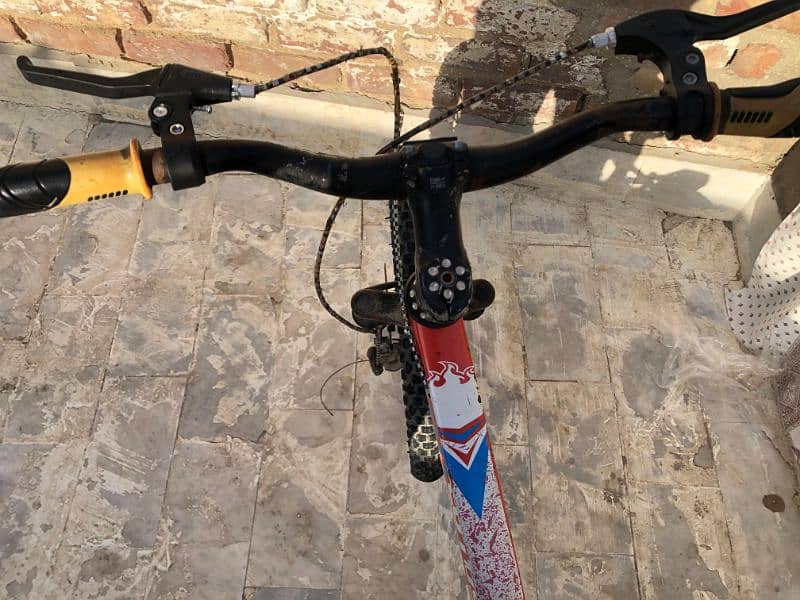 Mountain bicycle 2