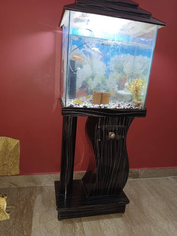 Fish Aquarium full Setup 5