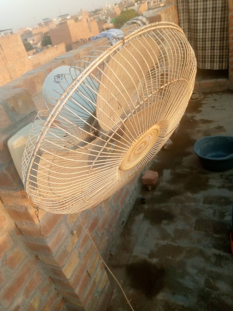 Pak fan 1
