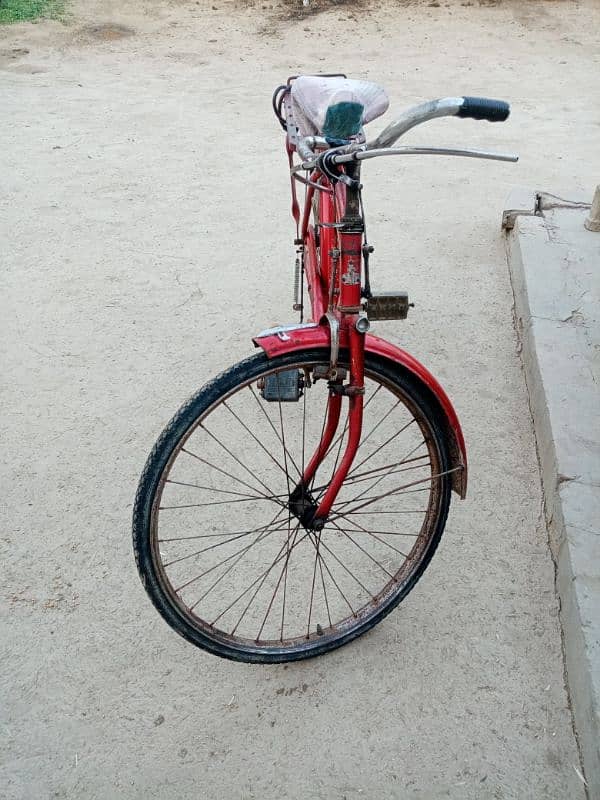 this is the best cycle 1