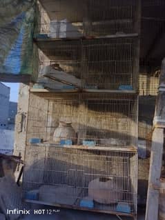 Cage 8 postion