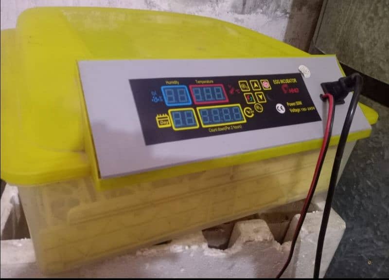 HHD automatic incubator 0