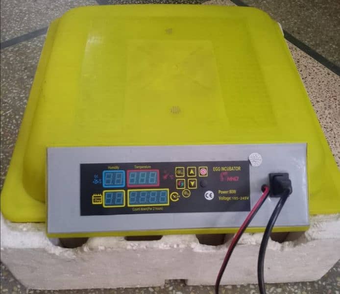 HHD automatic incubator 2