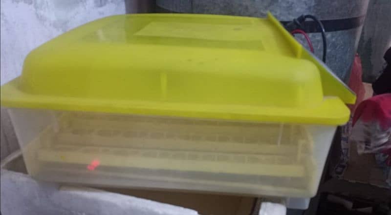 HHD automatic incubator 5