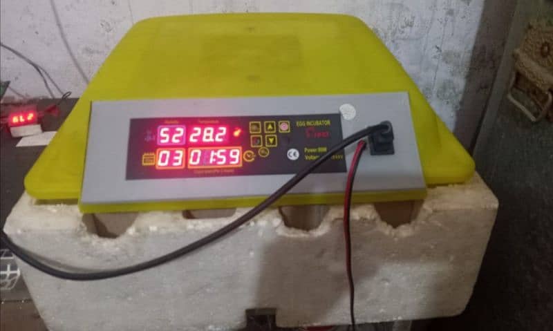 HHD automatic incubator 6