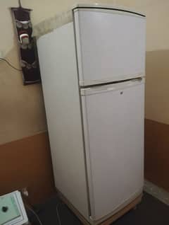 Wales Refrigerator