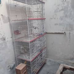 Birds With Cage