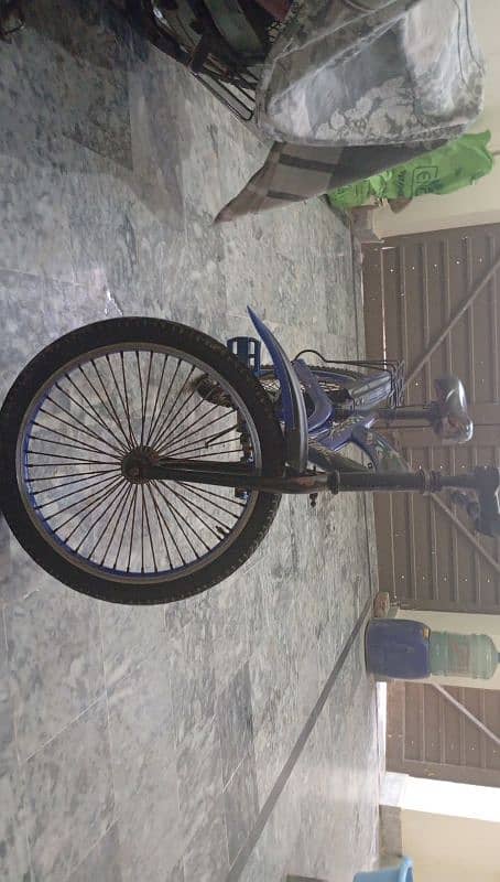 brand new bicycle 11