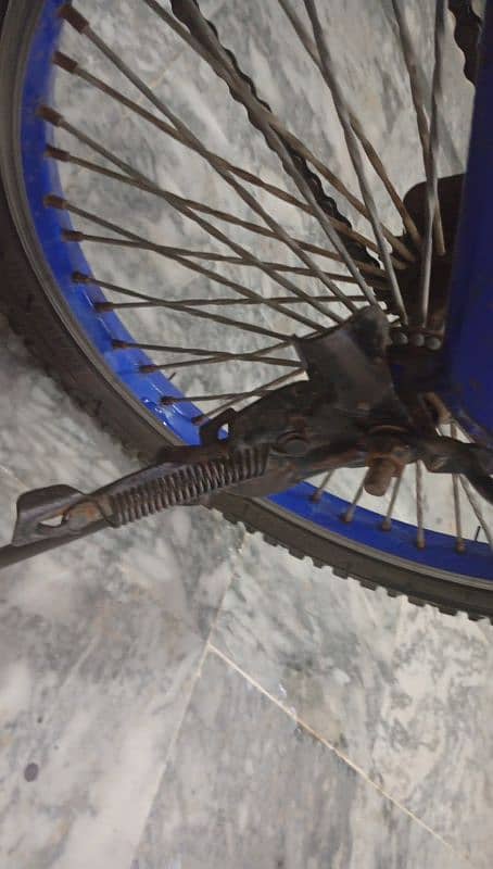 brand new bicycle 17