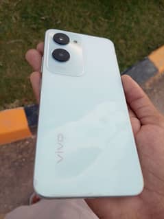 vivo