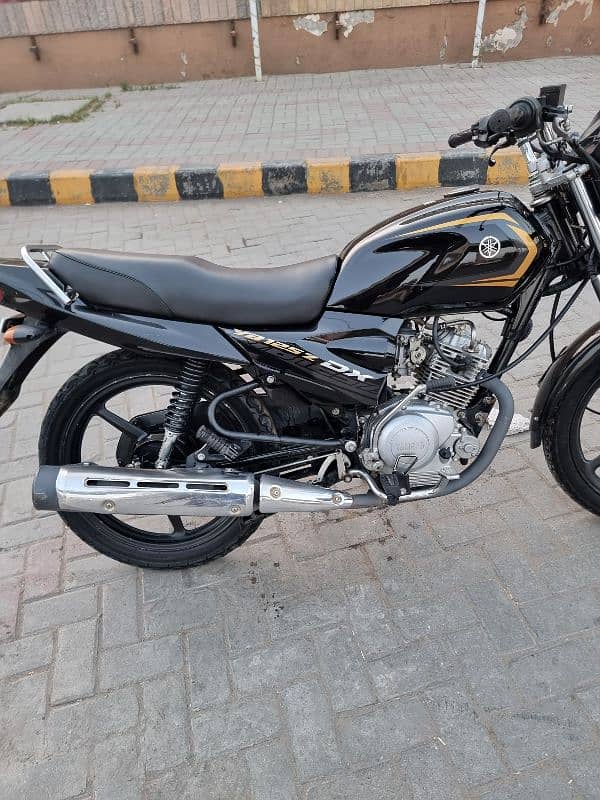 ybr 125z dx all ok 10/10 condition all punjab number ist owner 6