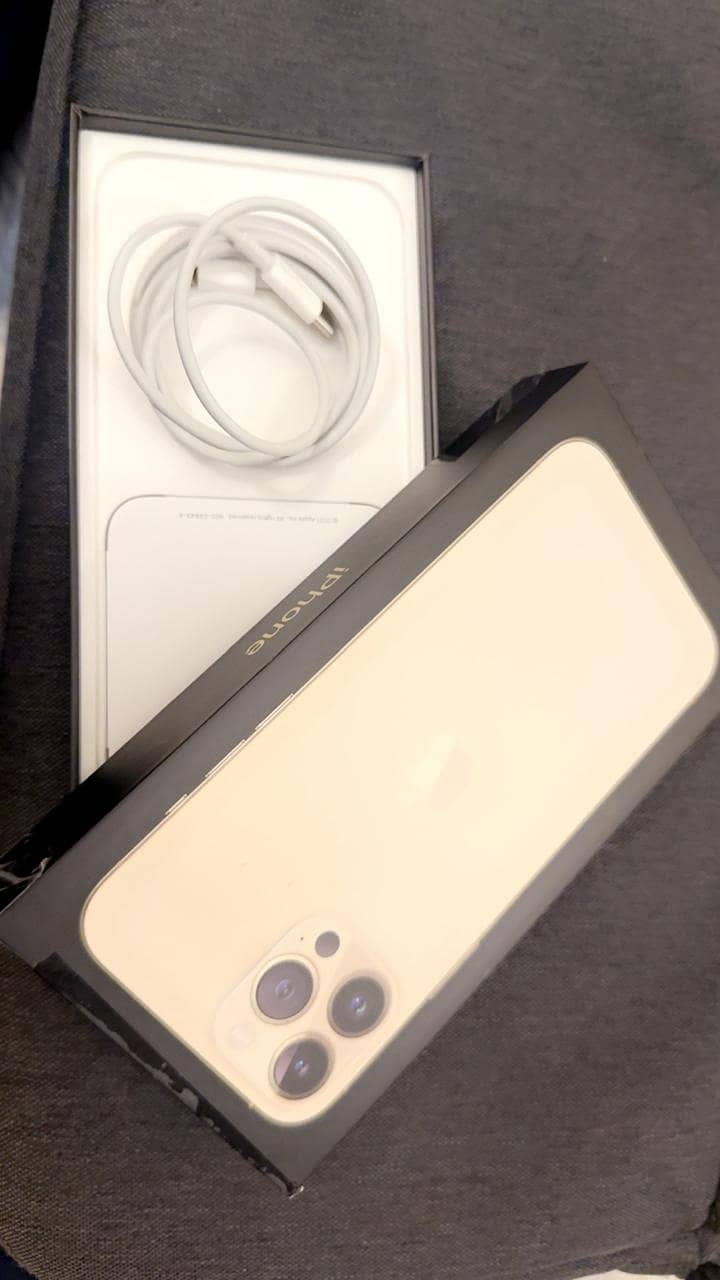 Apple iPhone 13 Pro Max 1