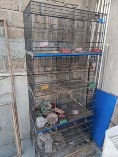 birds cage