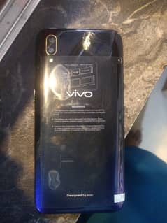 vivo